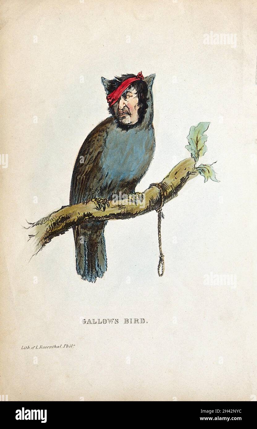 An anthropomorphical figure consisting of a bird's body and a human head is sitting on a branch of a tree next to a dangling noose. Coloured lithograph. Stock Photo