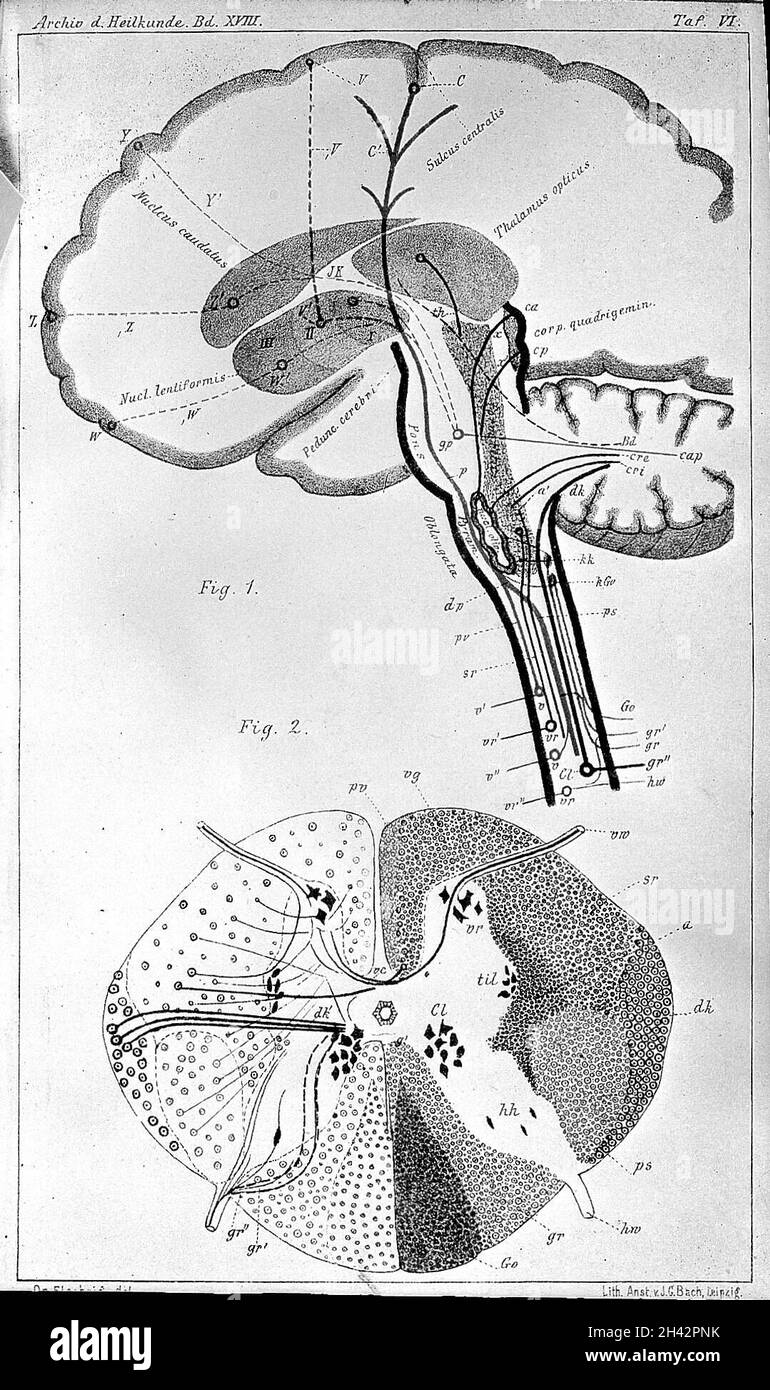 Spinal Mapping