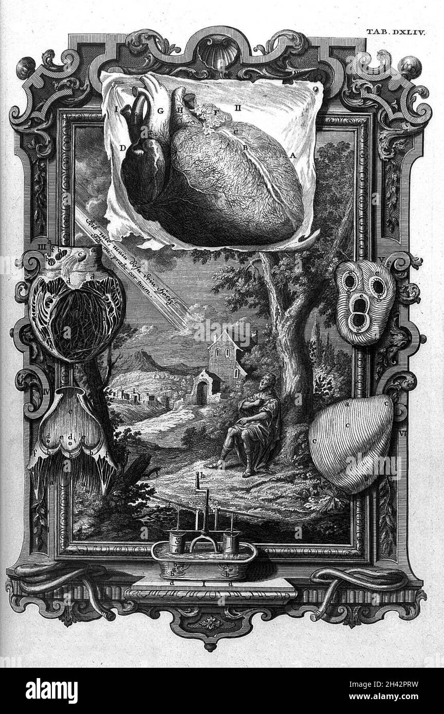 Heart pumping Black and White Stock Photos & Images Alamy