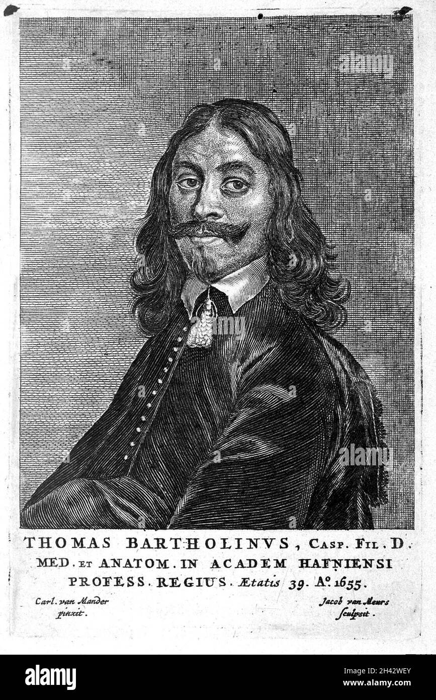 Thomas Bartholin, portrait Stock Photo Alamy