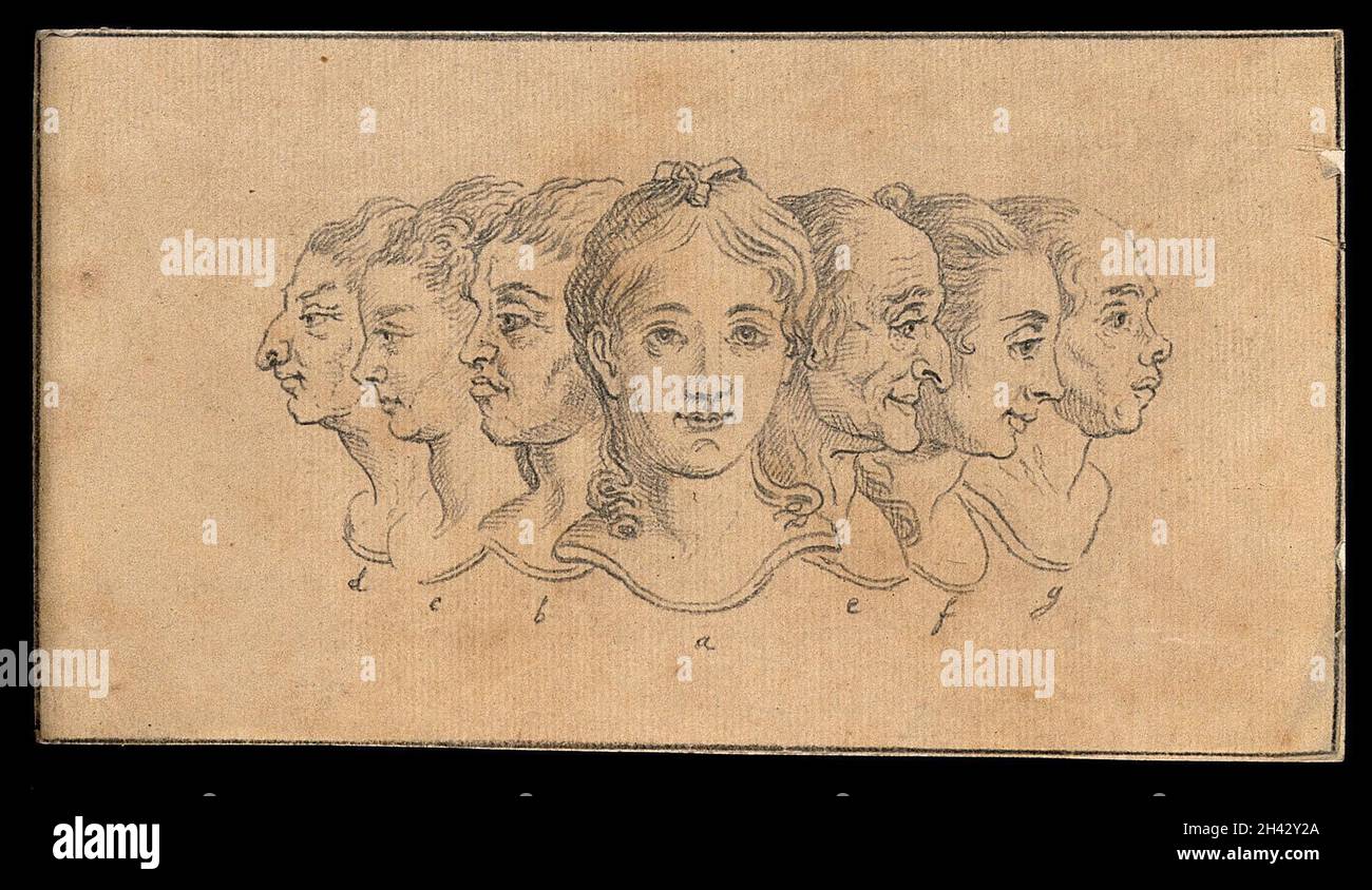 Seven portraits of women, compared for their beauty and prudence ...