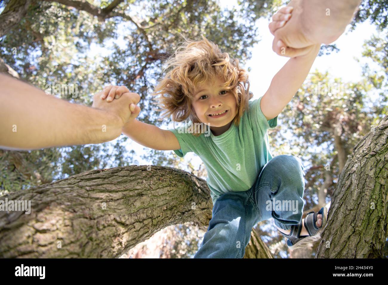 Father helping son to climb tree. Fathers hand. Child protection. Healthy parenting lifestyle. Stock Photo