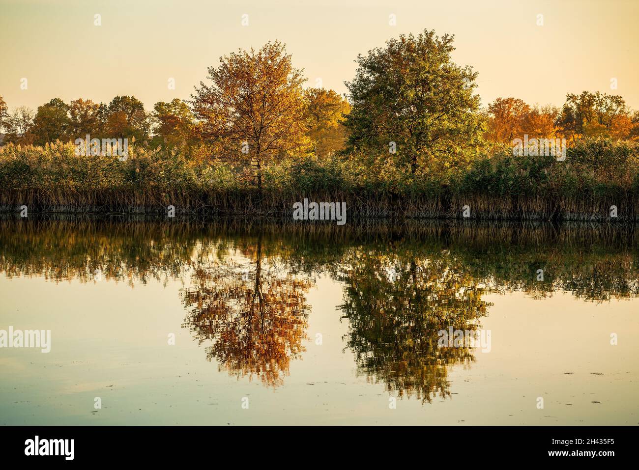 Colorful autumn trees by the lake Stock Photo - Alamy
