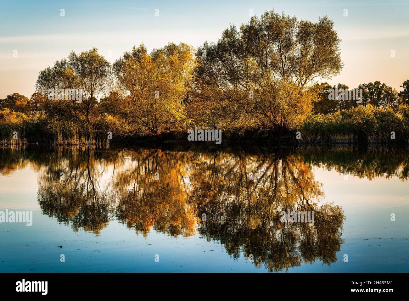 Colorful autumn trees by the lake Stock Photo - Alamy