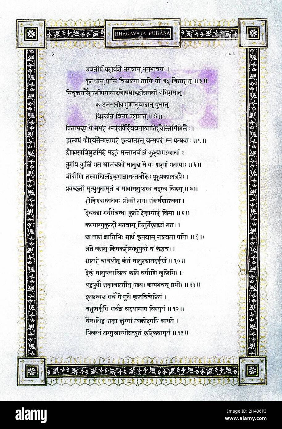 Bhagavata Purana, translated by Eugene Stock Photo