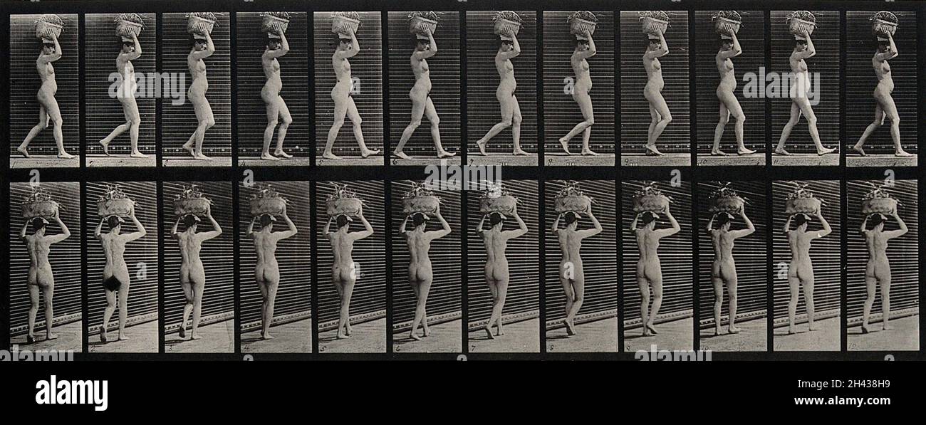 A woman carrying a load on her head. Photogravure after Eadweard Muybridge, 1887. Stock Photo