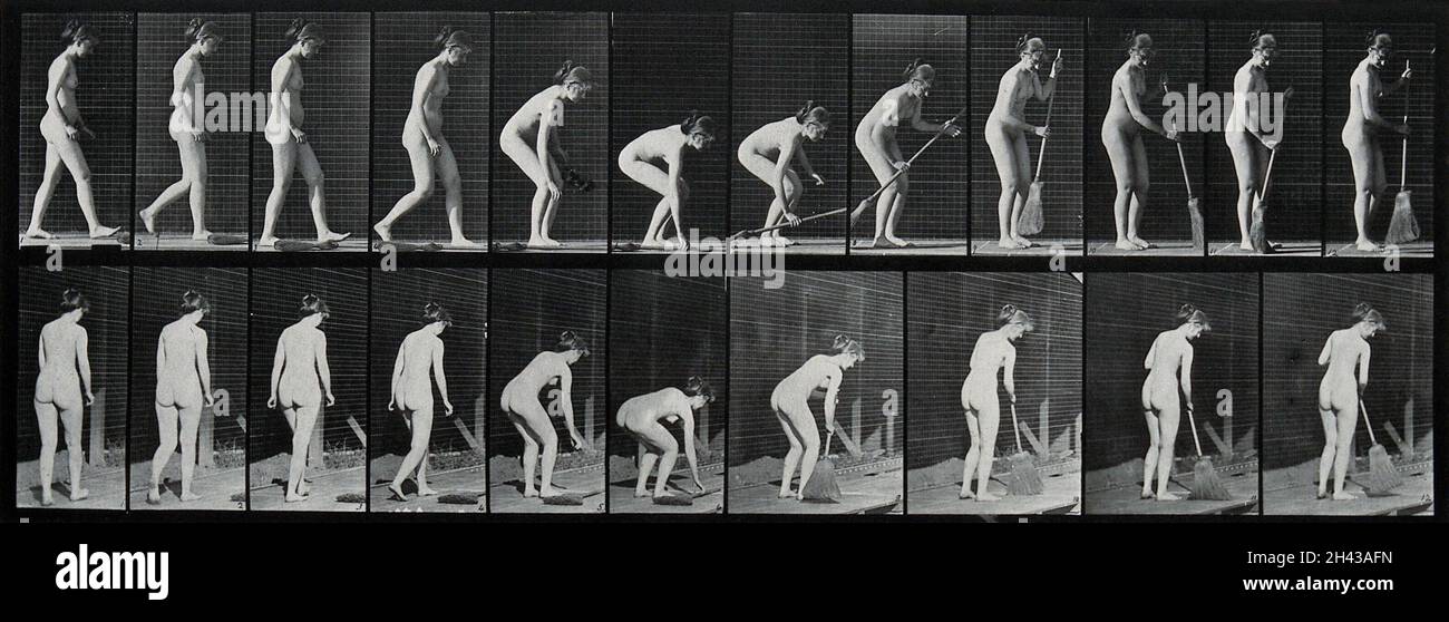 A woman picks up a broom off the ground and sweeps. Photogravure after Eadweard Muybridge, 1887. Stock Photo