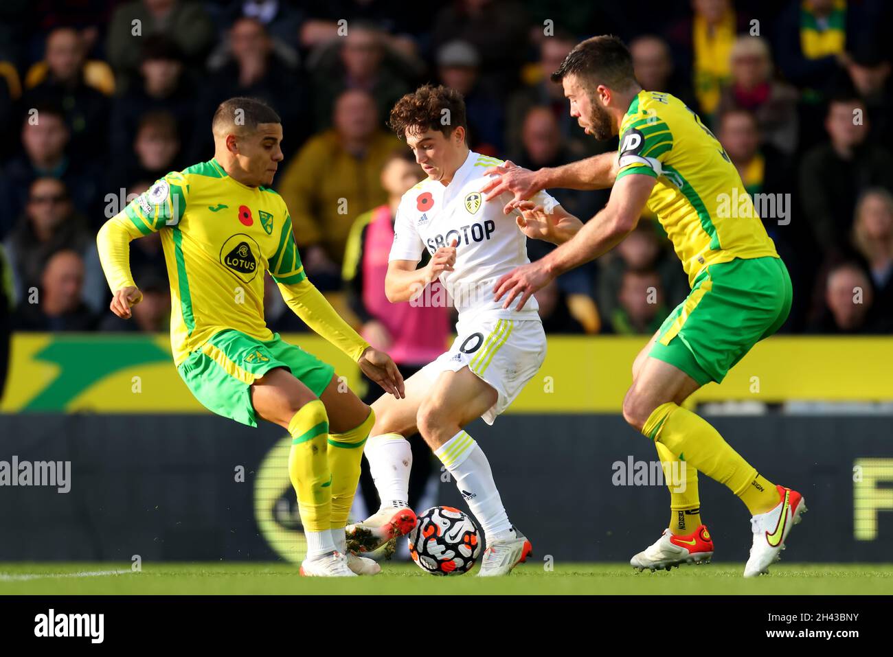Carrow Road, Norwich, UK. 31st Oct, 2021. Premier League football, Norwich City versus Leeds United; Daniel James of Leeds United is closed down by Max Aaron and Grant Hanley of Norwich City Credit: Action Plus Sports/Alamy Live News Stock Photo