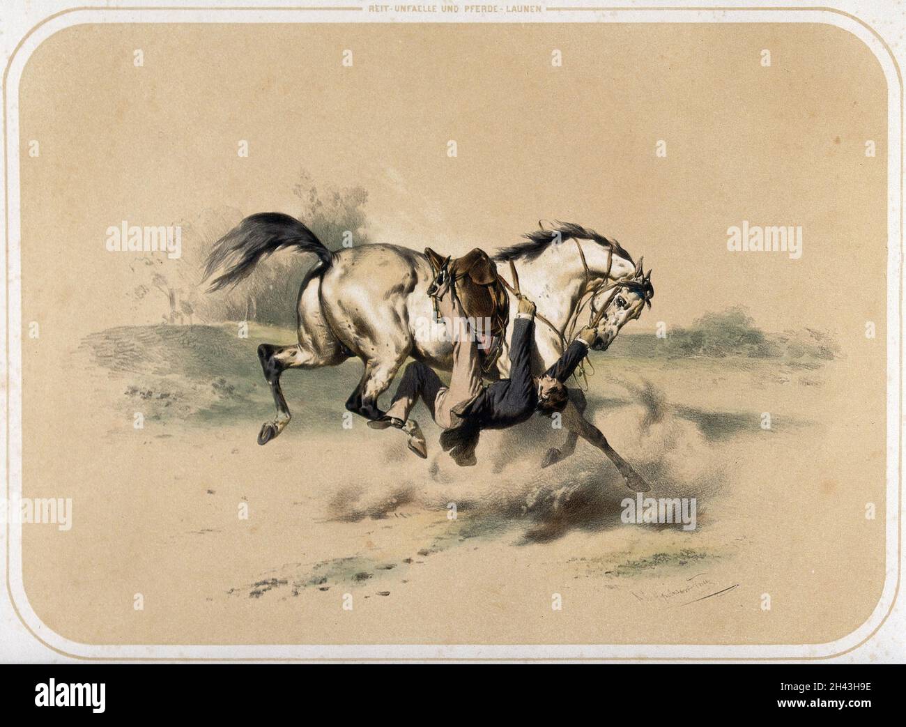 A rider has slipped sideways from his saddle and is trapped underneath