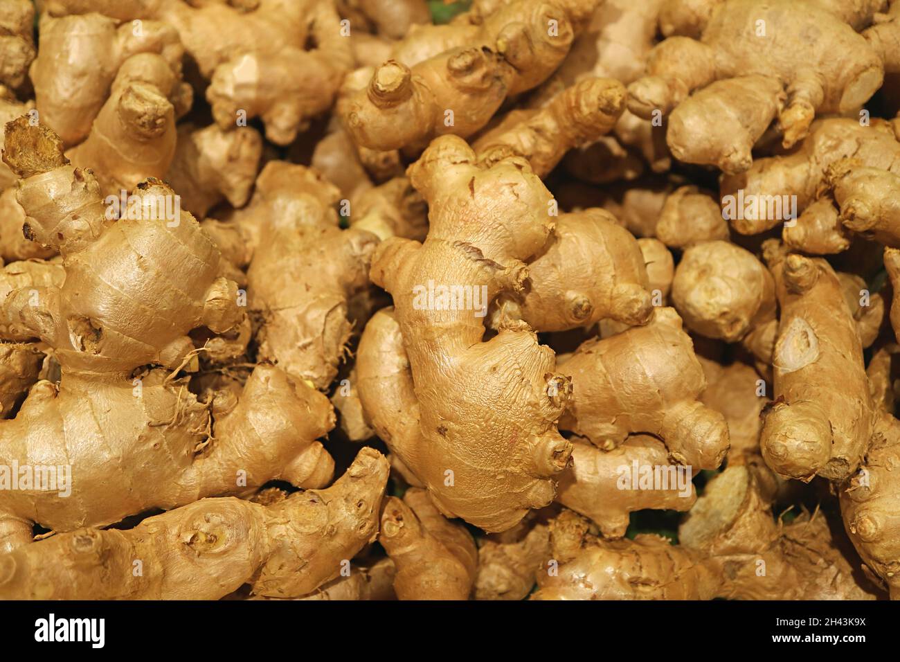 Peel fresh ginger hires stock photography and images Alamy