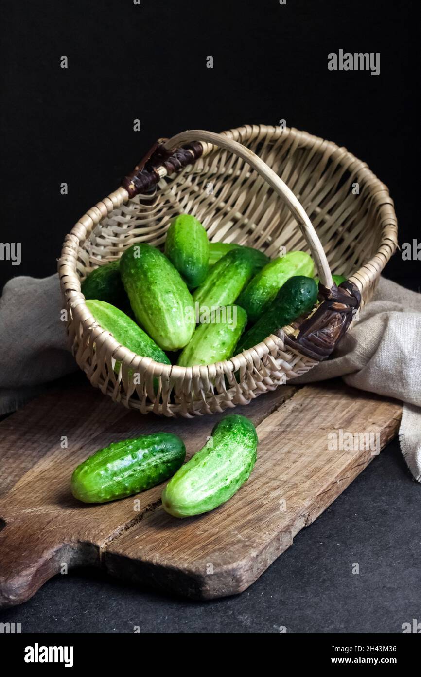 Fresh cucumbers in wicker basket on wooden board on black background. Stock Photo