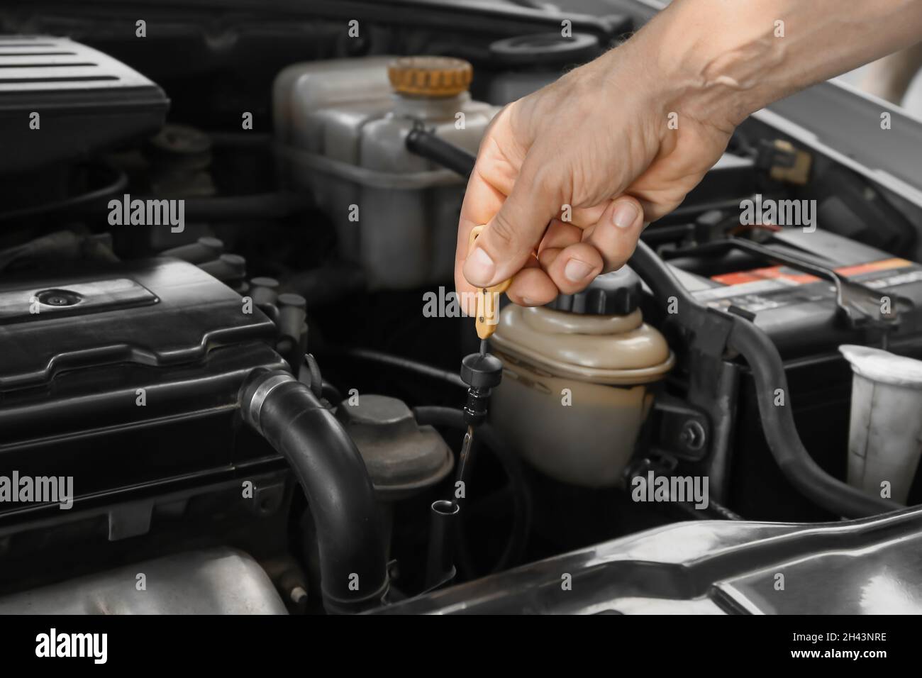 Male mechanic changing car engine oil Stock Photo - Alamy