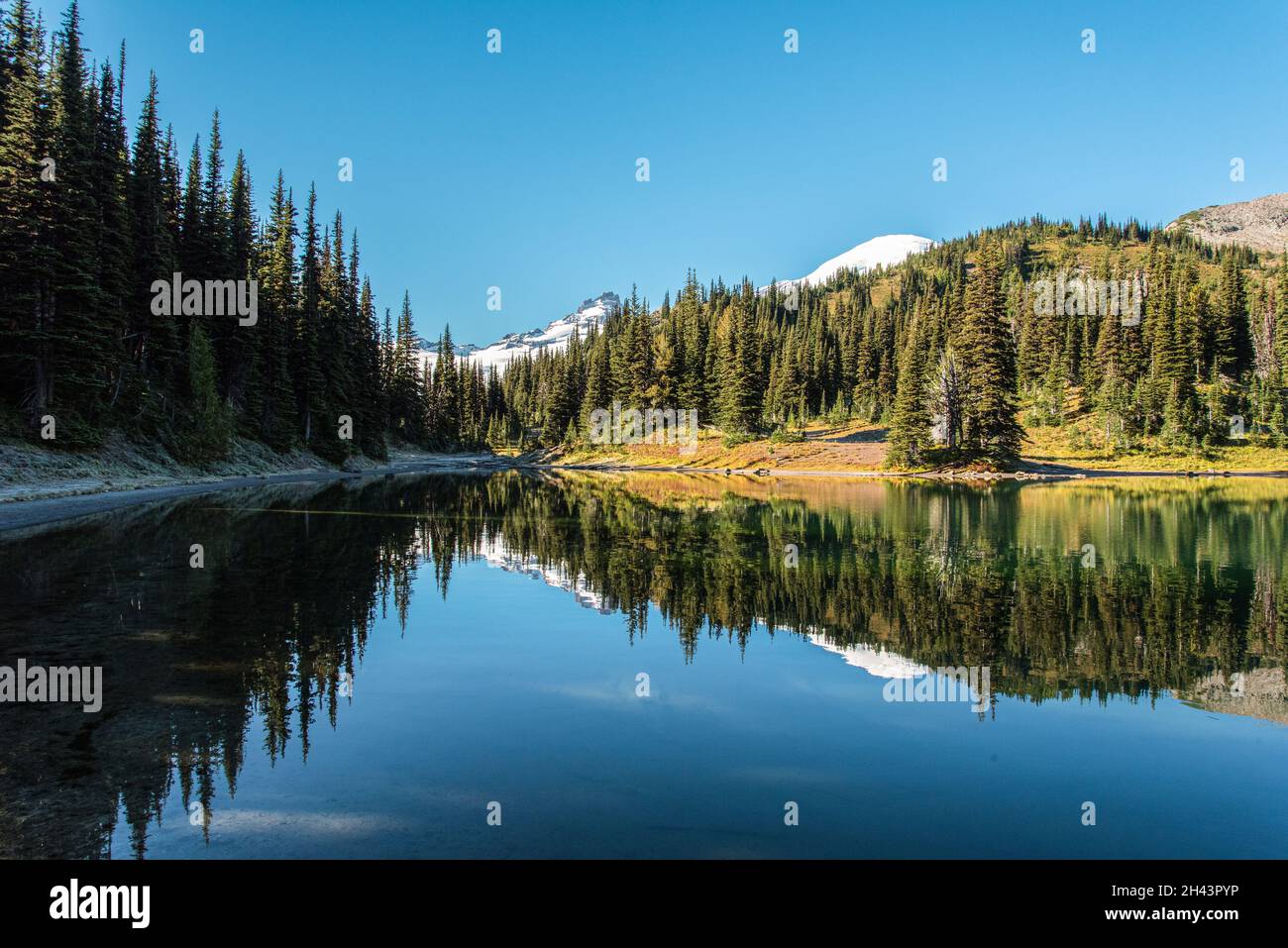 Rainer Shadow Scenic reflection from Shadow Lake and Mount Rainier in the background ...