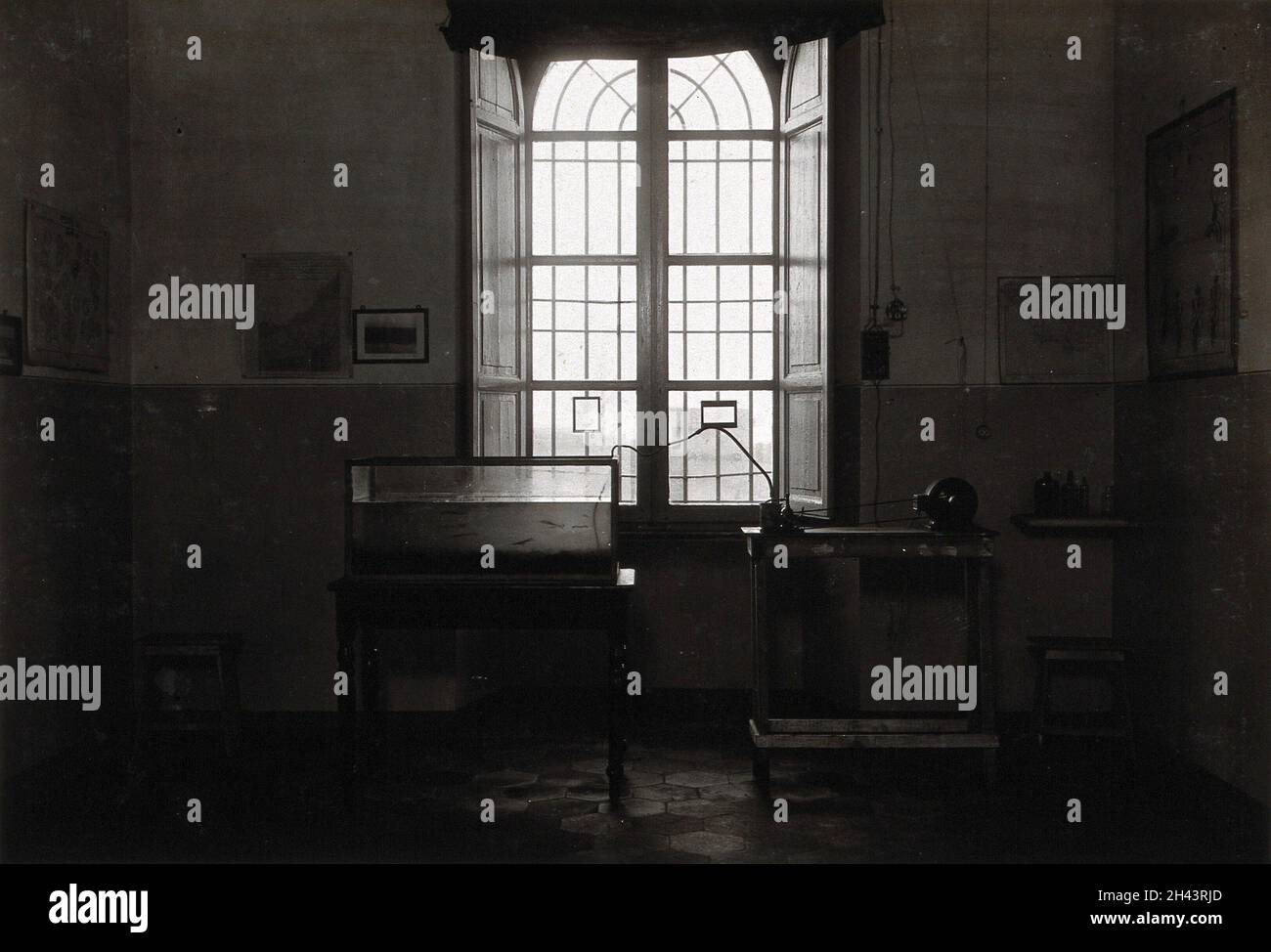 The anti-malaria school, Nettuno, Italy: a small fish tank on a table in front of a large window. Photograph, 1910/1940 (?). Stock Photo