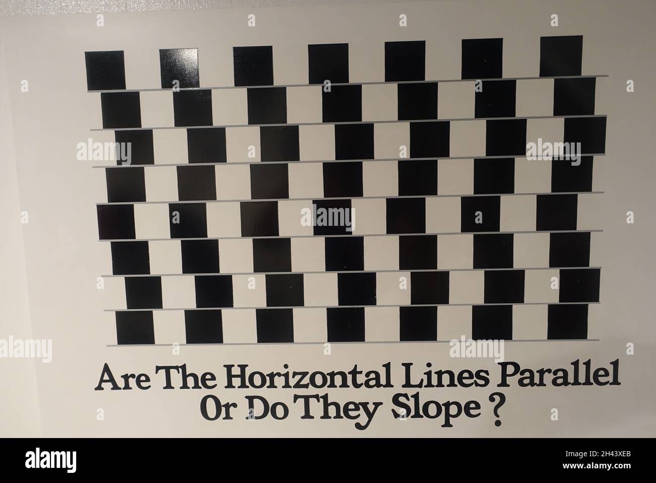 Parallel Processing Illusion Example Black and white checkerboard optical illusion pattern with overlaid ...