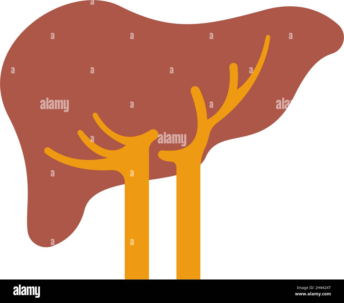 Human liver icon logo design template vector Stock Vector