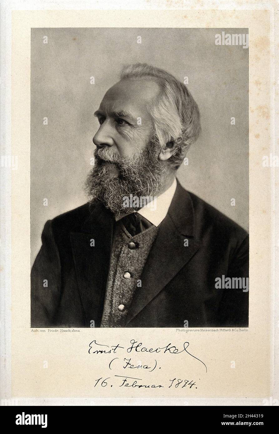 Ernst Heinrich Philipp August Haeckel. Photogravure after F. Haack, 1894. Stock Photo