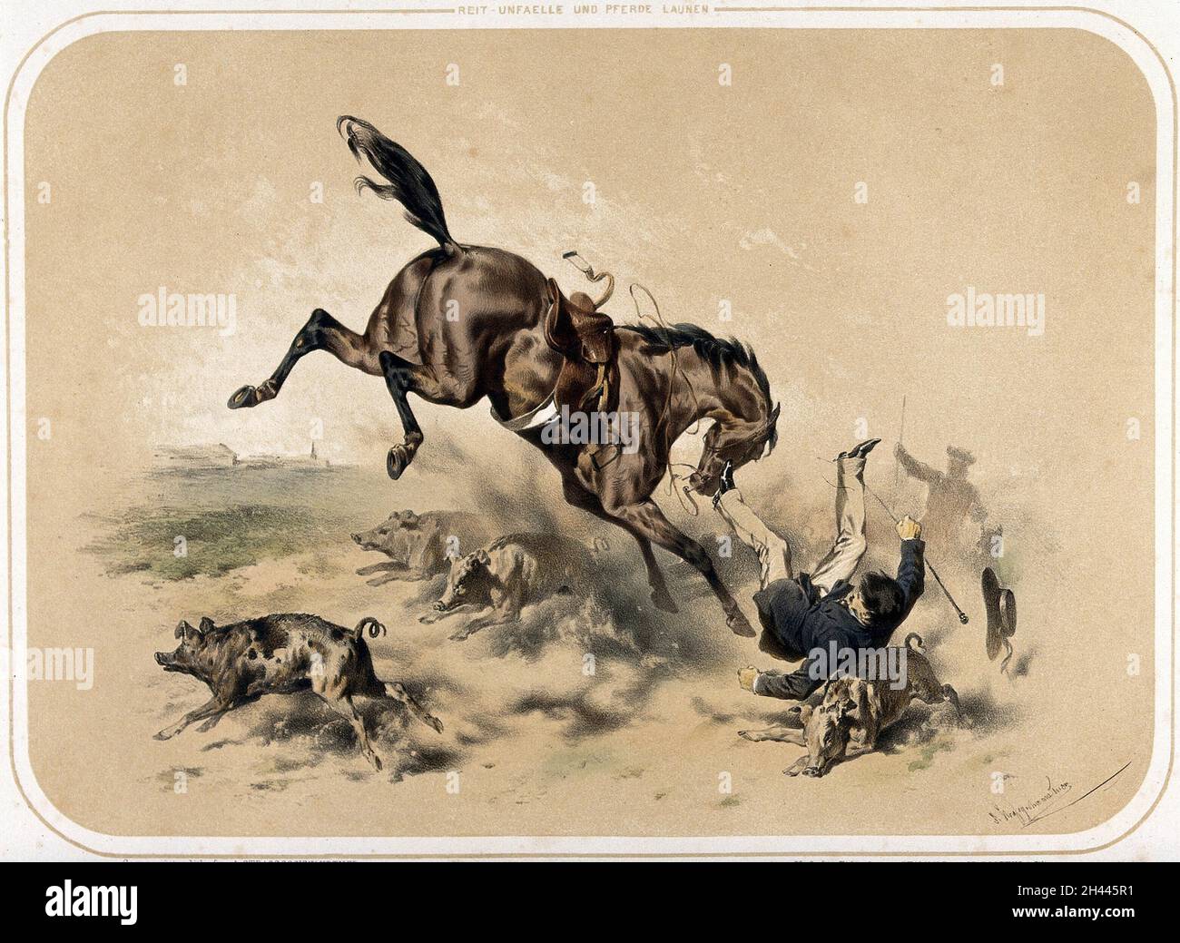 Pig Routing Horses A horse baulks at or trips over (?) a herd of pigs, unseating its rider ...
