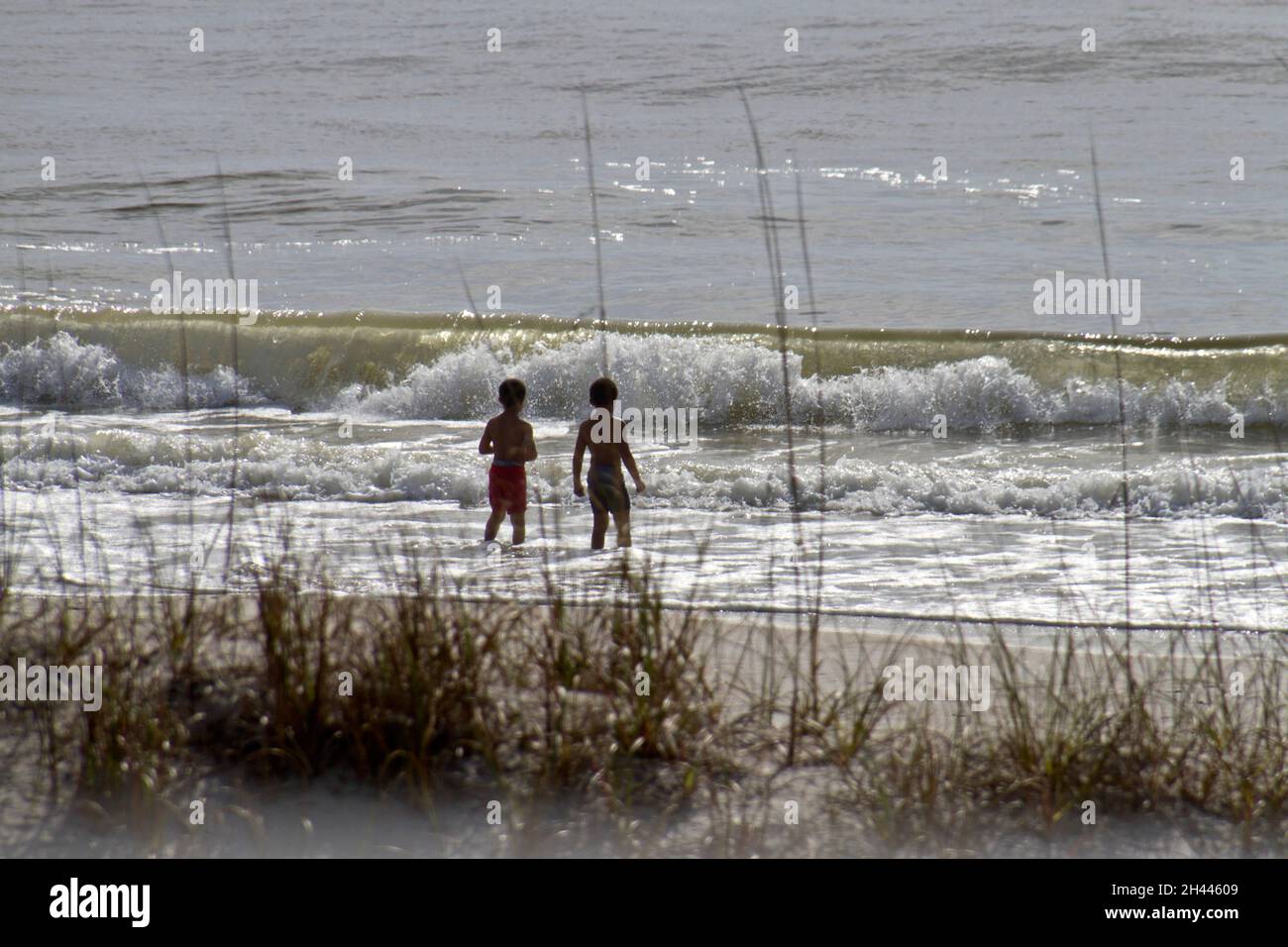 Two curious young black boys venture hesitantly into the ocean, a new childhood adventure Stock Photo