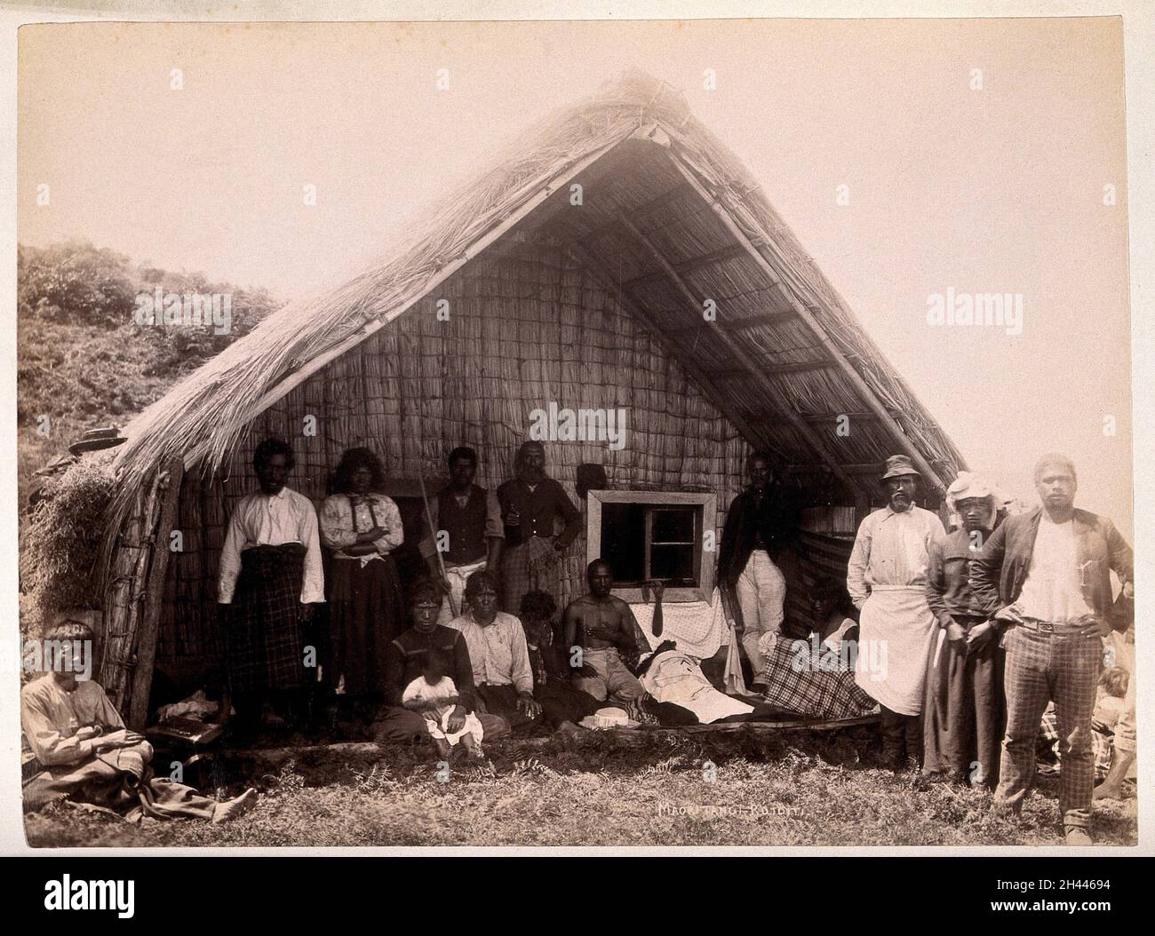 New Zealand Maori funeral rites. Albumen print Stock Photo Alamy