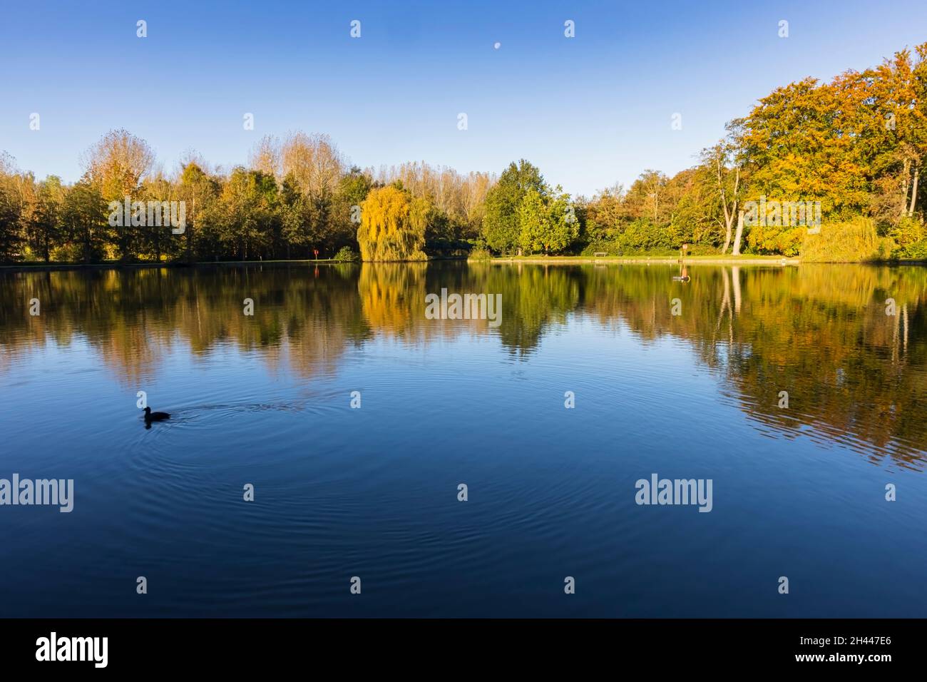 Wide angle lake view hi-res stock photography and images - Alamy