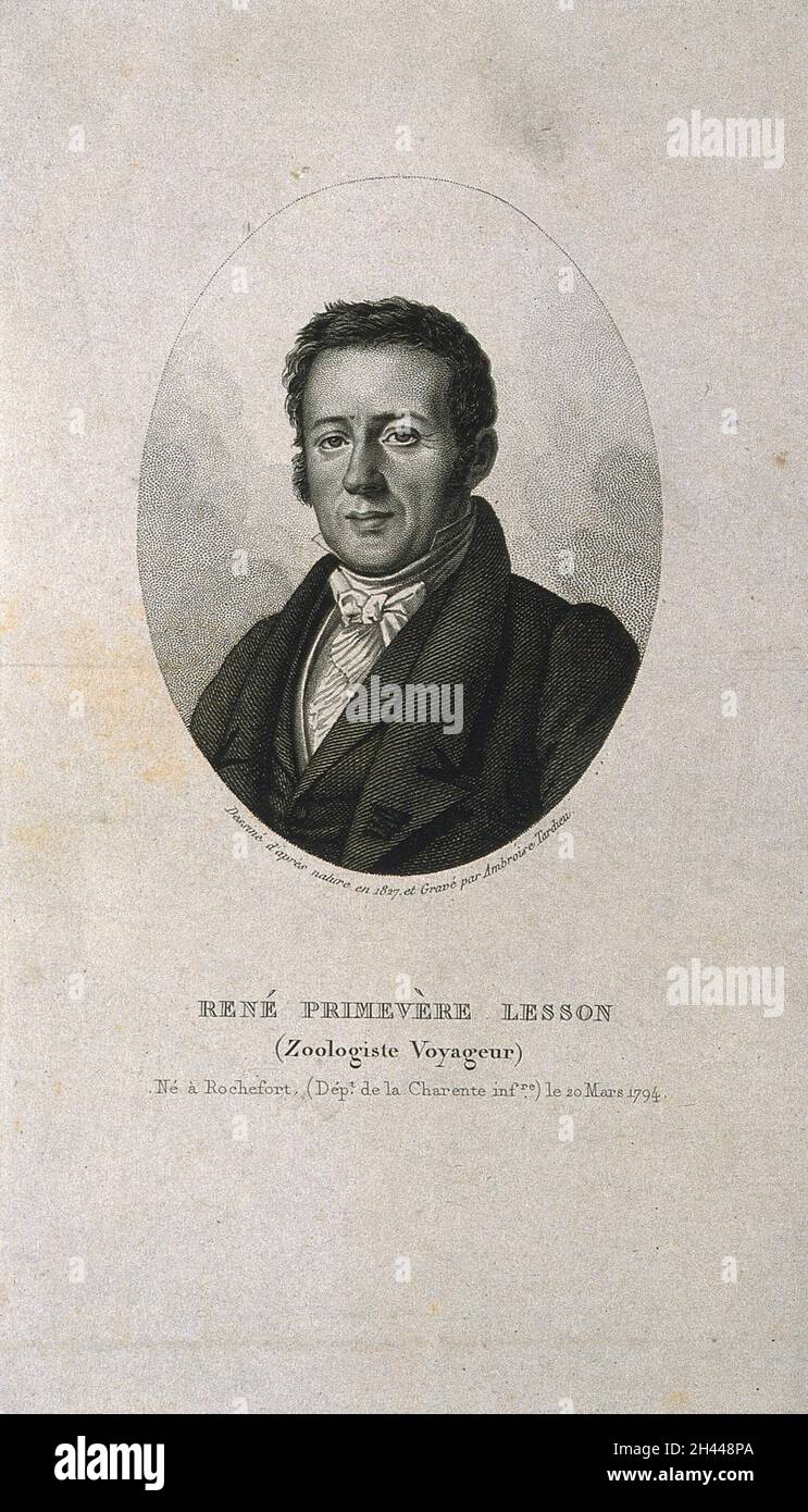 René Primevère Lesson. Stipple engraving by A. Tardieu, 1827, after himself. Stock Photo