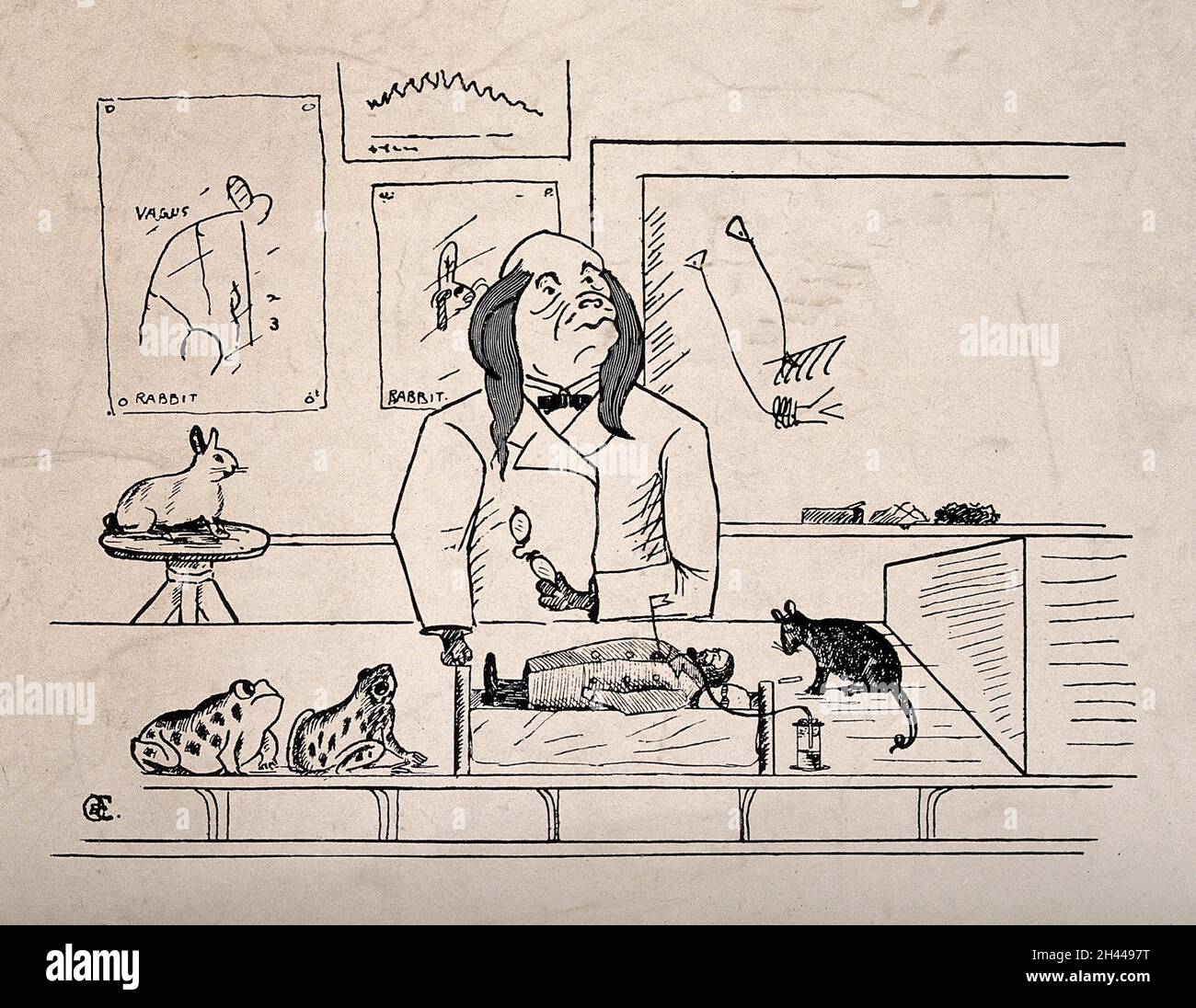 A dog, dressed as a scientist, performing an experiment on a human being; representing vivisection. Reproduction of a drawing after OBC(?). Stock Photo
