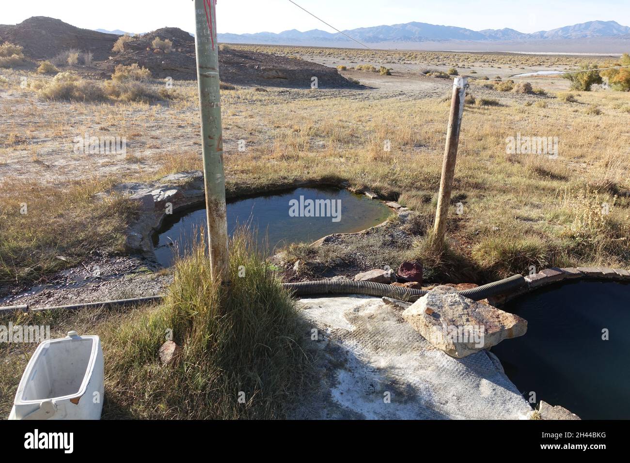 Around Alkali Flat Hot Spring in central Nevada Stock Photo Alamy