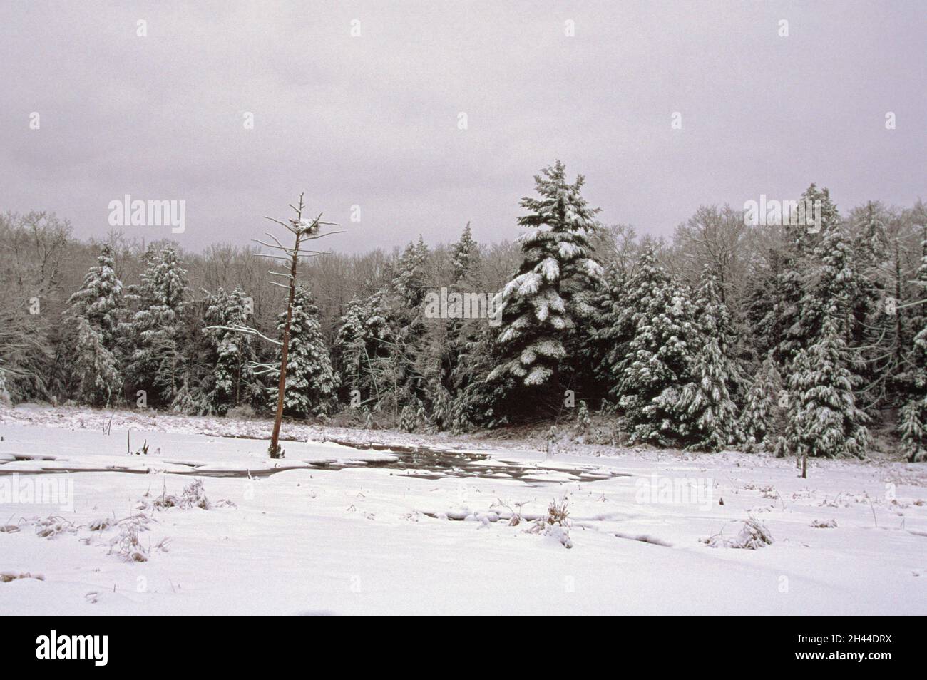 Meredith winter hi-res stock photography and images - Alamy