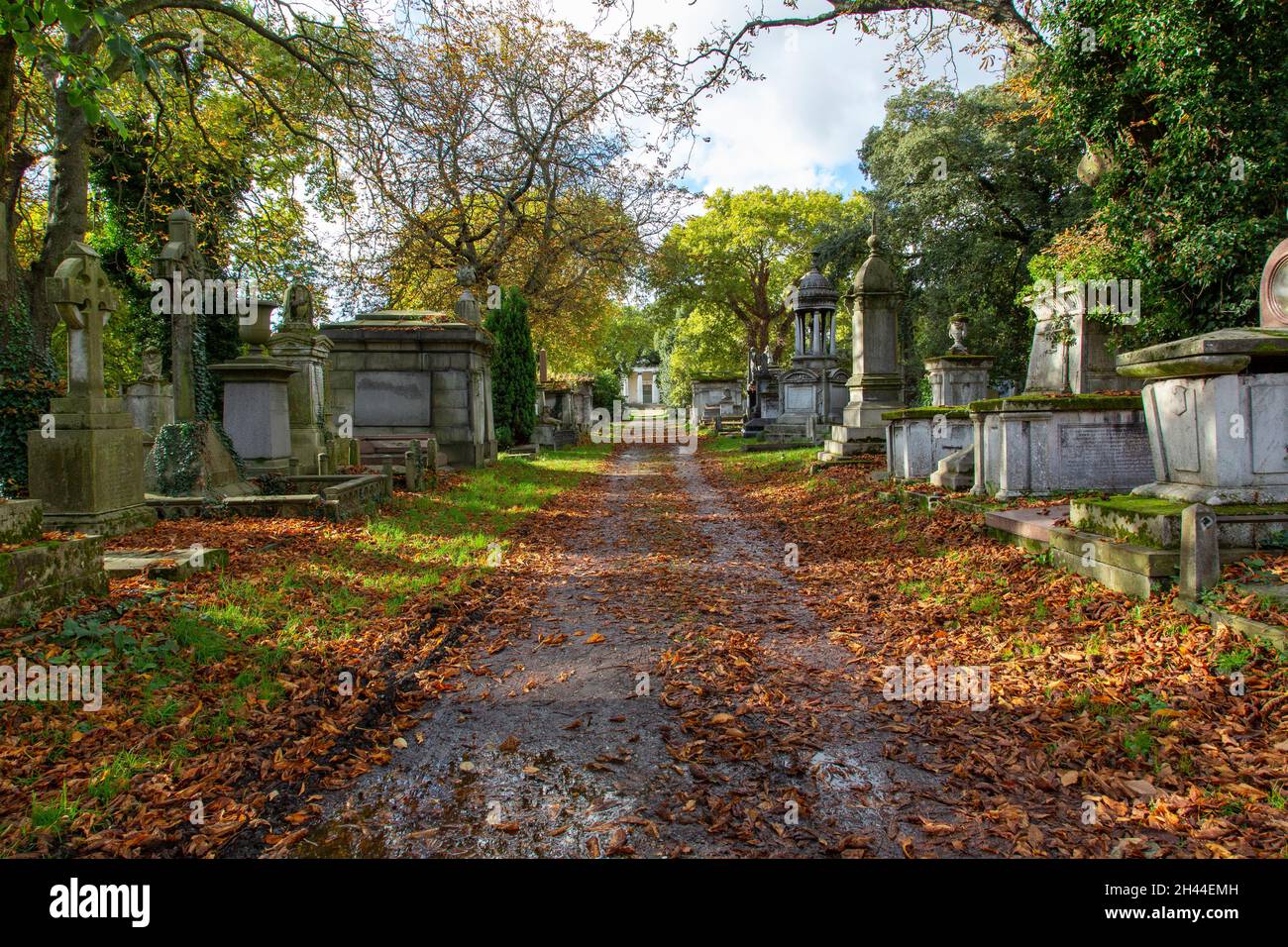 Early nineteenth century monuments form an avenue of gravestones at Kensal Green Cemetery, London, in the autumn sun Stock Photo