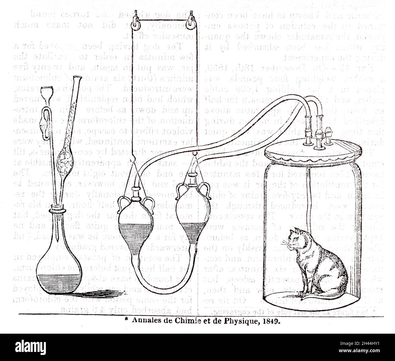 Experiment on excretion of Carbonic acid gas by animals Stock Photo Alamy