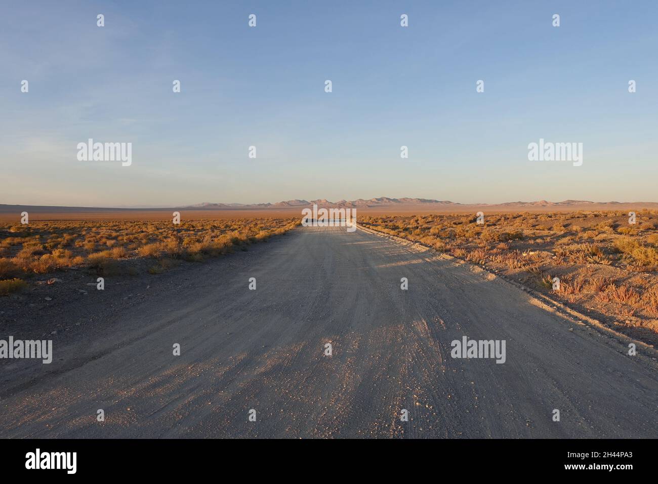 Around Alkali Flat Hot Spring in central Nevada Stock Photo Alamy