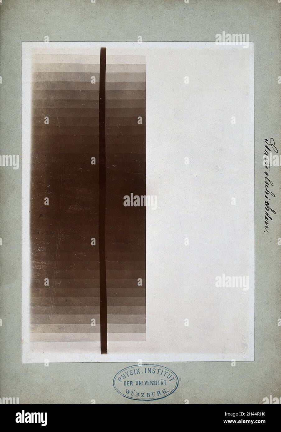 Layers of tin foil, viewed under xray. Photoprint from radiograph by W
