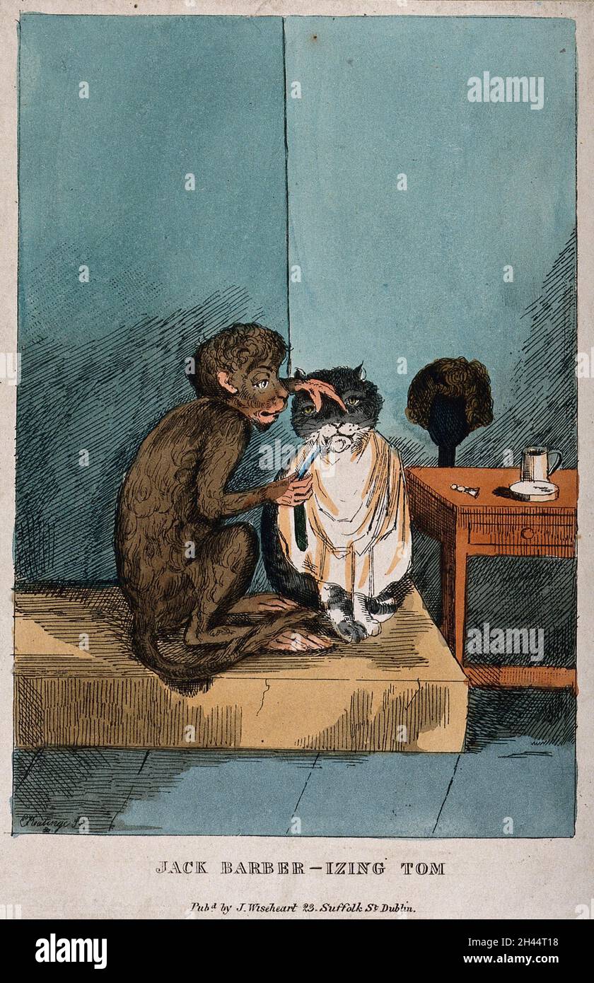 A monkey shaving a cat's whiskers. Coloured etching by E. Keatinge