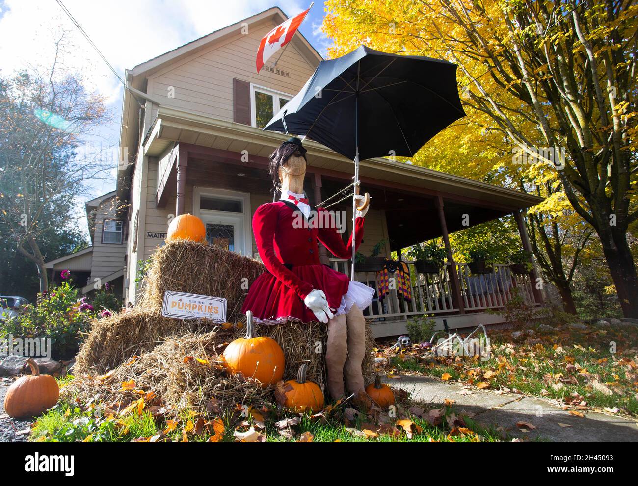Schomberg, Canada. 31st Oct, 2021. A scarecrow is seen in front of a