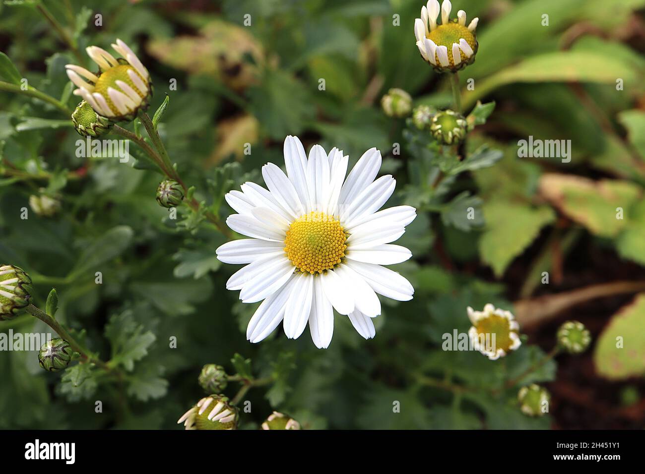 Varying hires stock photography and images Alamy