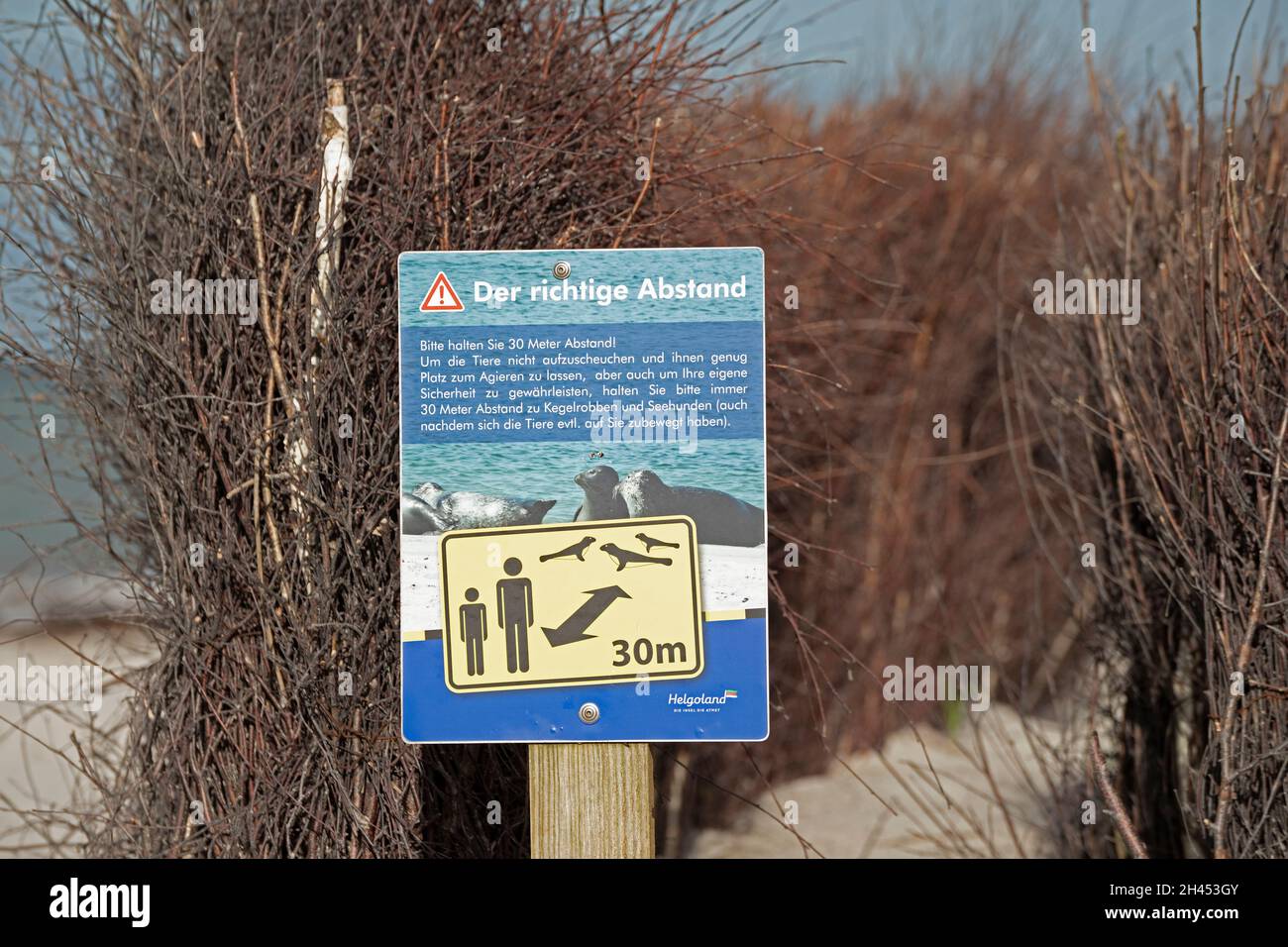 Signpost asking people to keep a distance of 30 meters to seals, Düne, Heligoland Island, Schleswig-Holstein, Germany Stock Photo