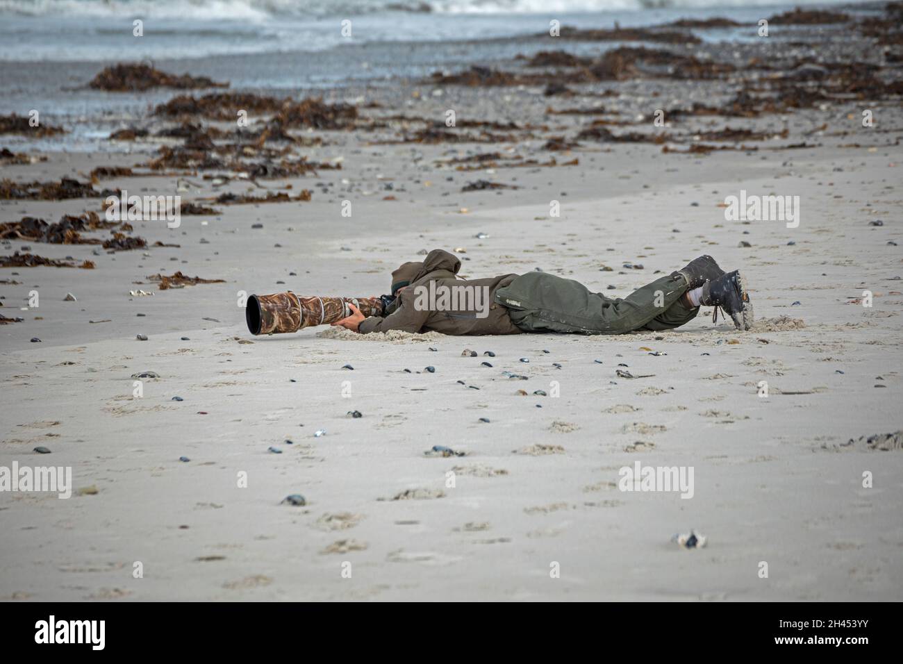 Birdwatcher with telephoto lens at the beach, Düne, Heligoland Island, Schleswig-Holstein, Germany Stock Photo