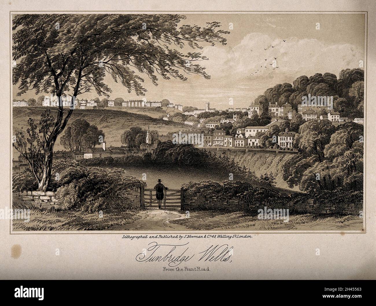 Tunbridge Wells, Kent panoramic view from Frant Road. Tinted