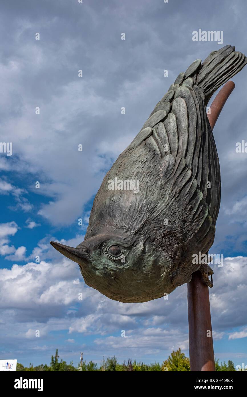 Bernalillo County, State Of New Mexico Public Art Collection: 'Nuthatch' 2019 by Tim Mullane Stock Photo