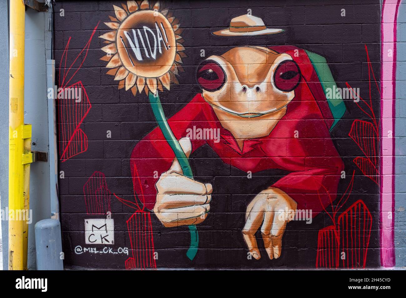 street art in Albuquerque, New Mexico Stock Photo Alamy