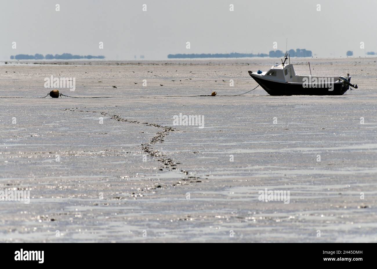 inshore fishing boat grounded at low tide snettisham beach north norfolk england Stock Photo