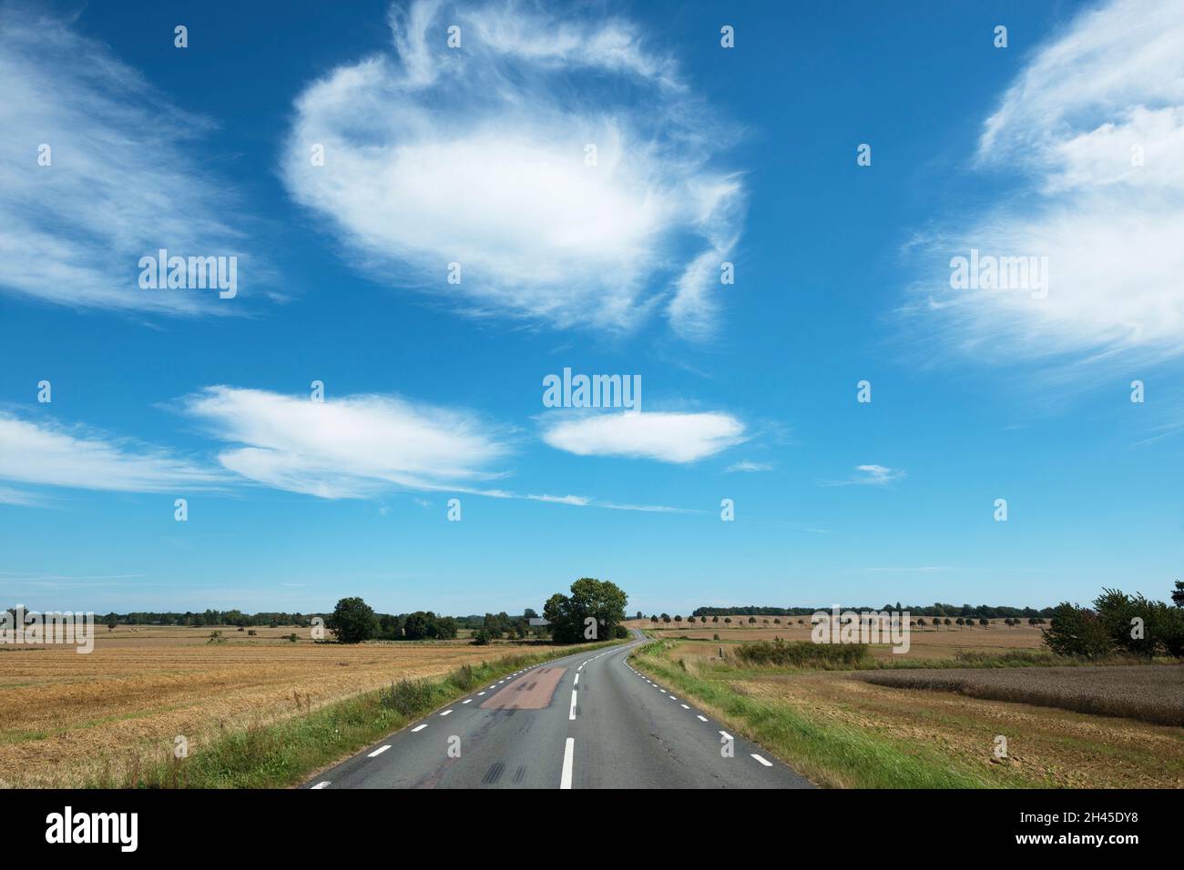 Country road in Österlen, Skåne, Sweden Stock Photo