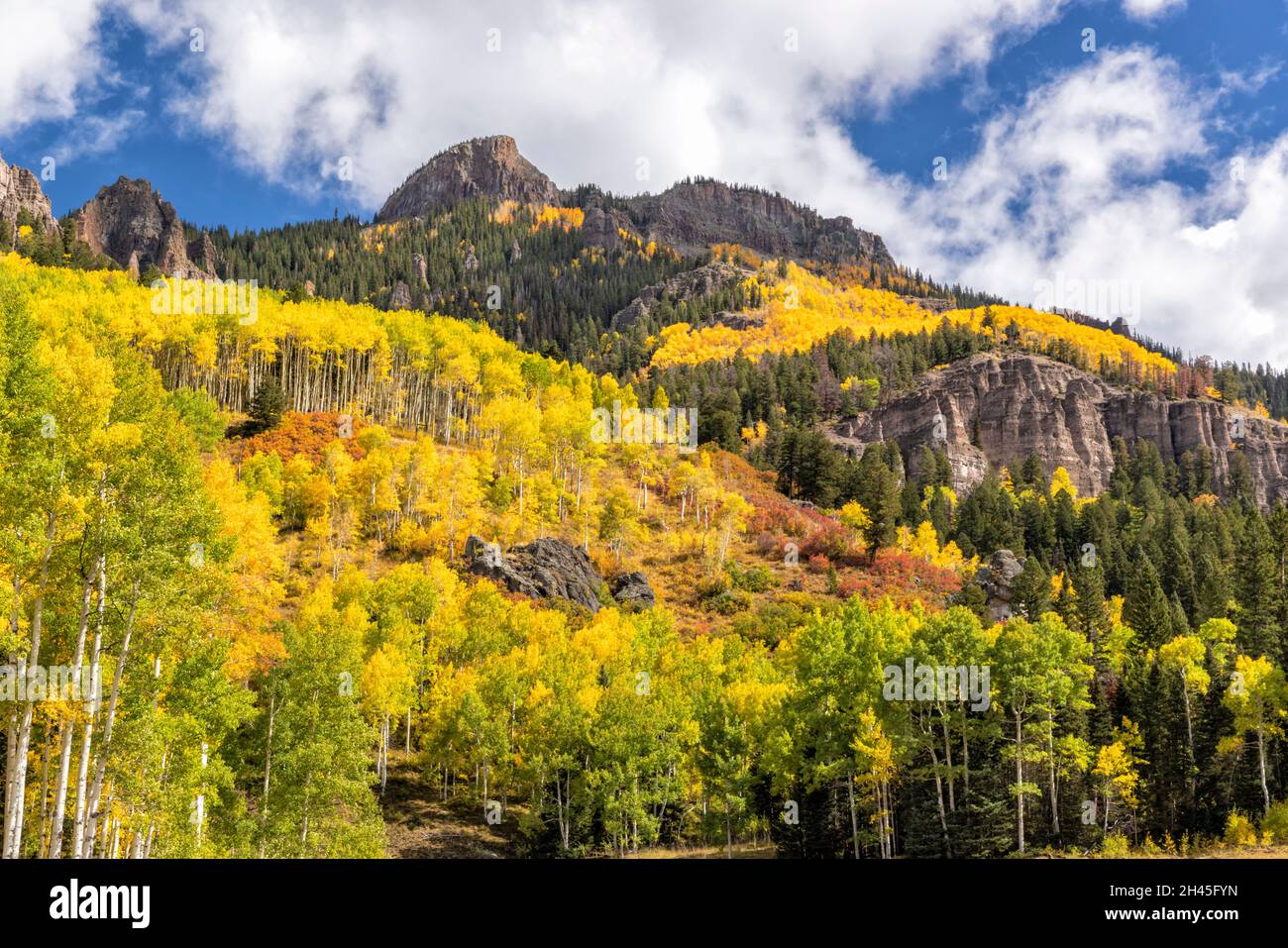 A stony ridgeline above Aspens in early Autumn in the Uncompahgre National Forest East of Owl Creek Pass, Colorado Stock Photo