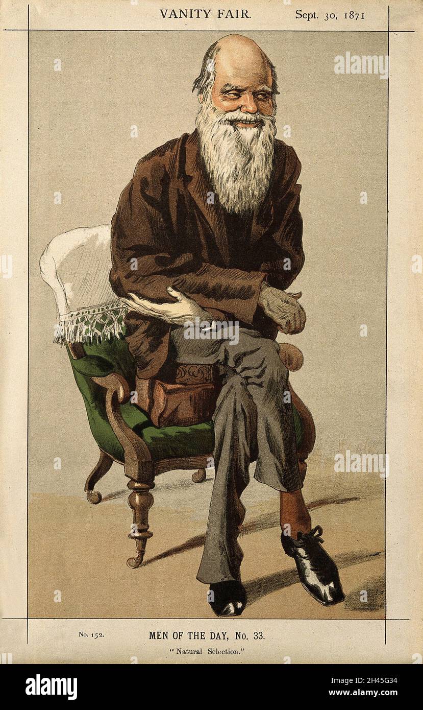 Darwin Color Patterns Scientific colour theory hi-res stock photography and images - Alamy