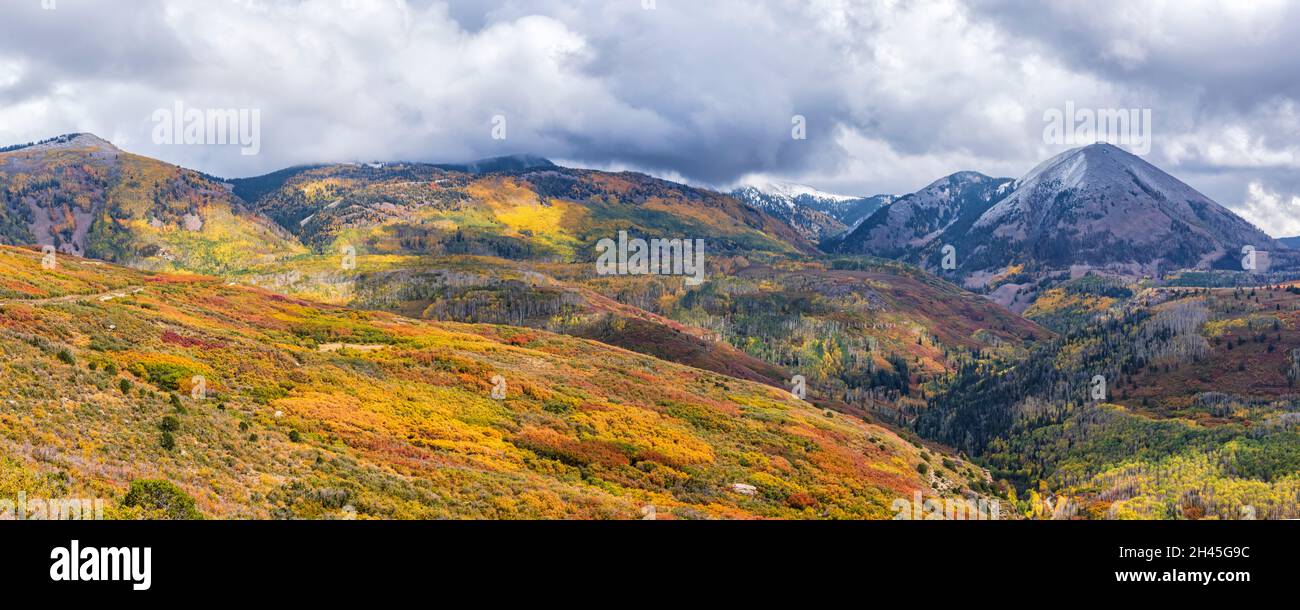 Vivid patches of Autumn color in scrub oak and aspen forests in the Manti-La Sal National Forest below Haystack Mountain near Moab, Utah. Stock Photo