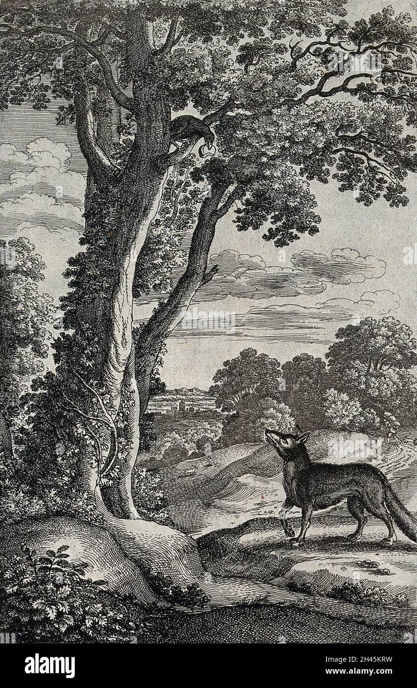 A fox is sitting under a tree looking up at a crow with a cheese in its bill; illustration of a fable by Aesop. Etching. Stock Photo