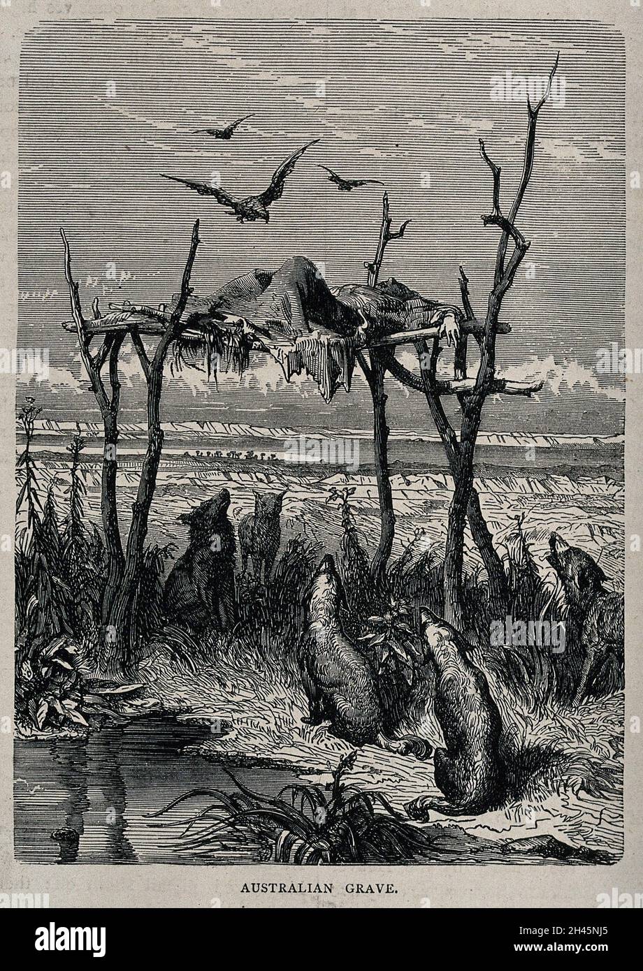 Australia: a dead body placed on an elevated wooden structure; dingos seated below. Wood engraving after G. Doré, ca. 1865. Stock Photo