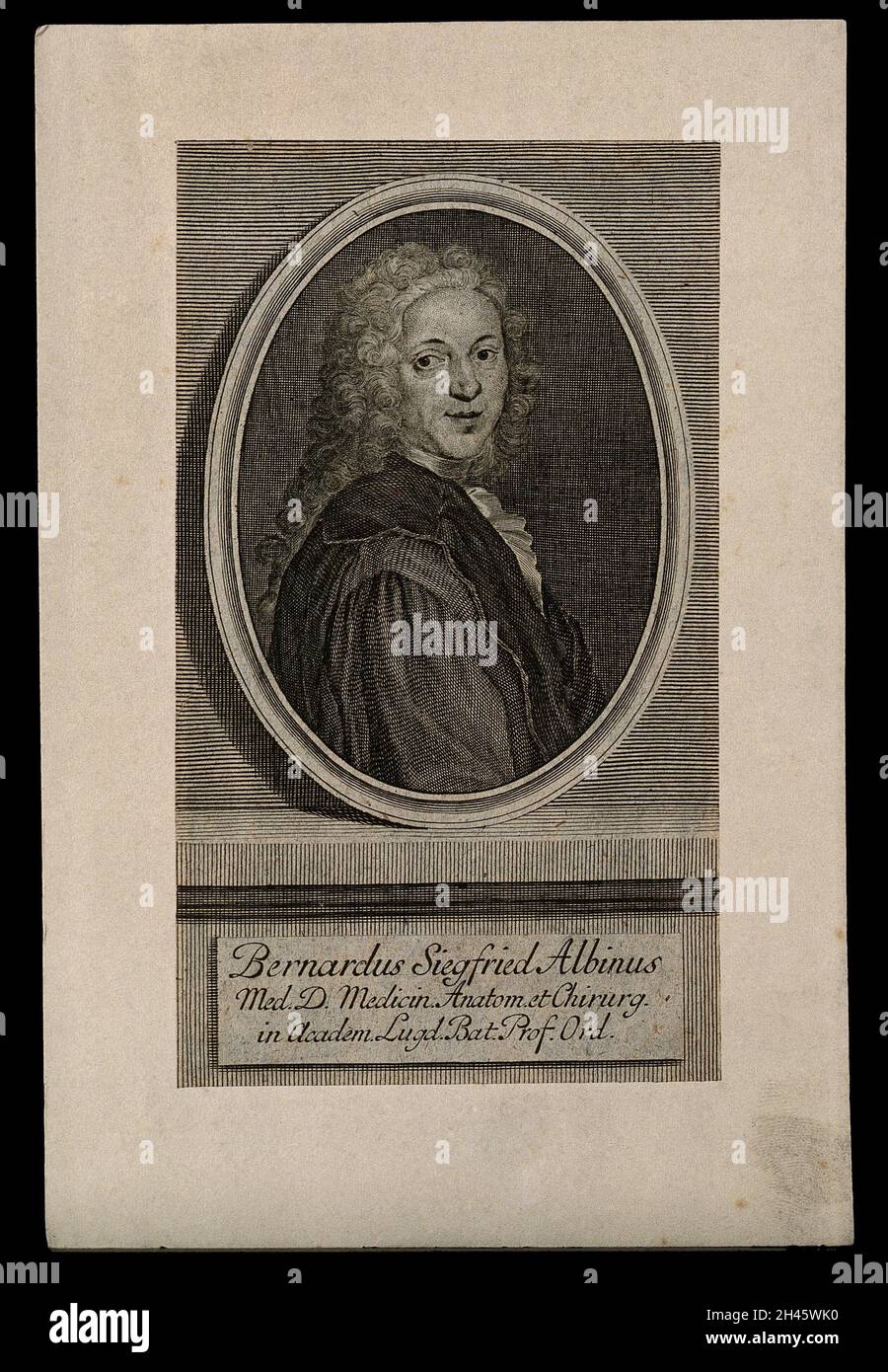Bernhard Siegfried Albinus. Line engraving Stock Photo Alamy