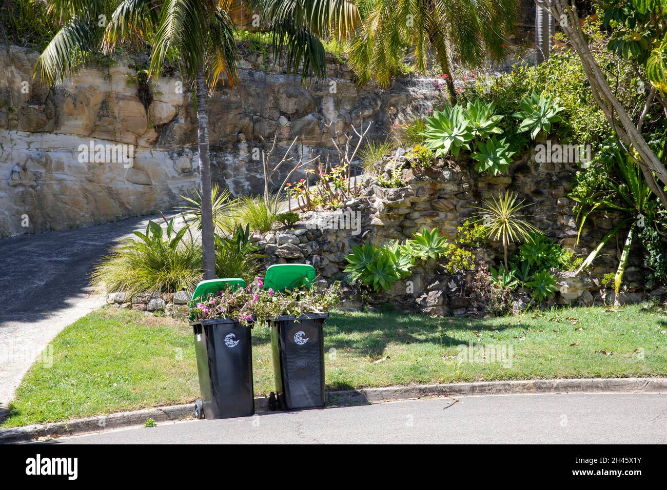 Australia, green garden wheely bins full of garden waste and vegetation on the street awaiting council collection,Avalon Beach suburb in Sydney,Austra Stock Photo